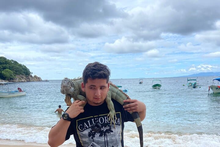 Private Puerto Vallarta City & Rainforest Half-Day Tour — Guided Urban and Jungle Experience photo 4