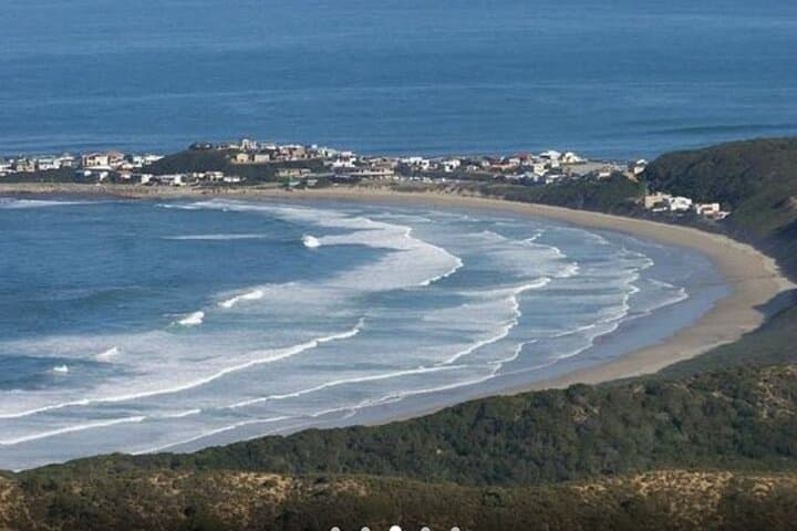 4-Day Garden Route Adventure from Cape Town — Knysna, Addo & Robberg photo 5