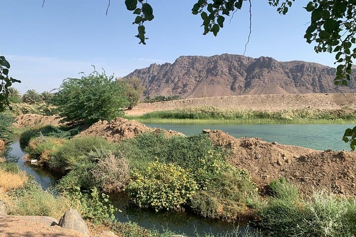 Experience Madinah’s Culture and Historical Sights — Guided Local Tour photo 5