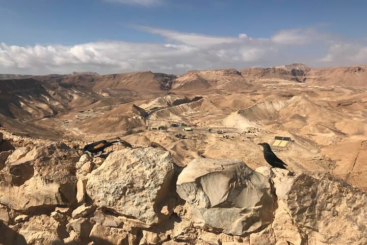 Masada and Dead Sea Day Tour — Masada Fortress & Dead Sea Float from Jerusalem