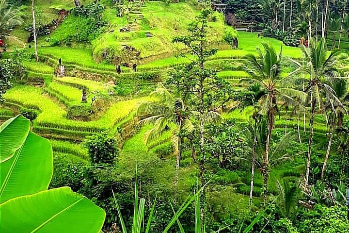 Day Trip from Ubud: Rice Terrace Swing, Waterfall & Artisan Villages photo 2
