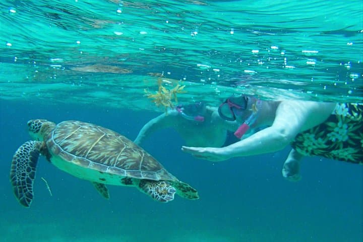Sunset Snorkel & Island Hopping: Hol Chan, Shark Ray Alley & Caye Caulker Full-Day Tour photo 2