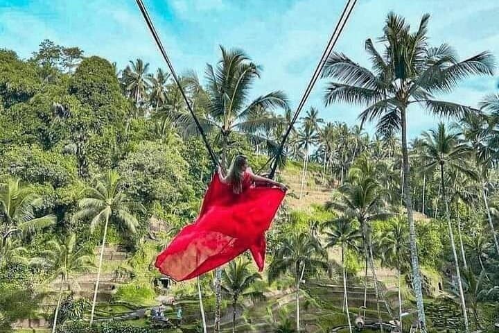 Day Trip from Ubud: Rice Terrace Swing, Waterfall & Artisan Villages photo 4