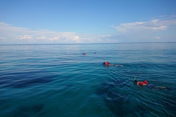 Mexico Rocks Day Sail: Snorkel Hol Chan & Natural Pool with Belizean Buffet photo 4