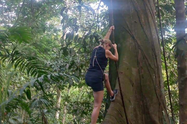 Gandoca-Manzanillo Tropical Hike: Coastal Jungle, Monkeys & Sloth Spotting photo 3