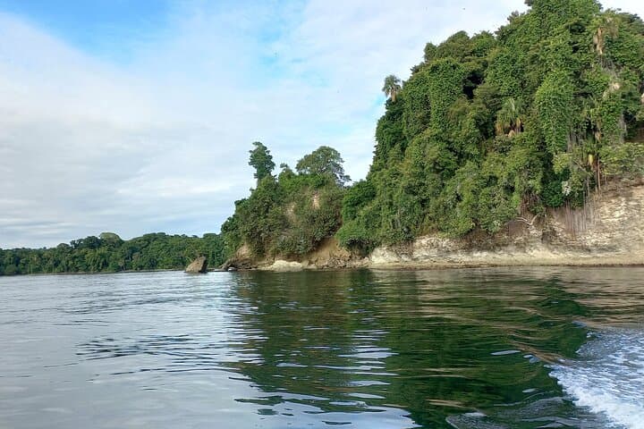 Gandoca-Manzanillo Tropical Hike: Coastal Jungle, Monkeys & Sloth Spotting photo 5