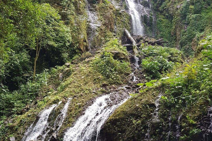 El Tigre Waterfalls Hike: Monteverde Cloud Forest Day Trek with Lunch photo 2