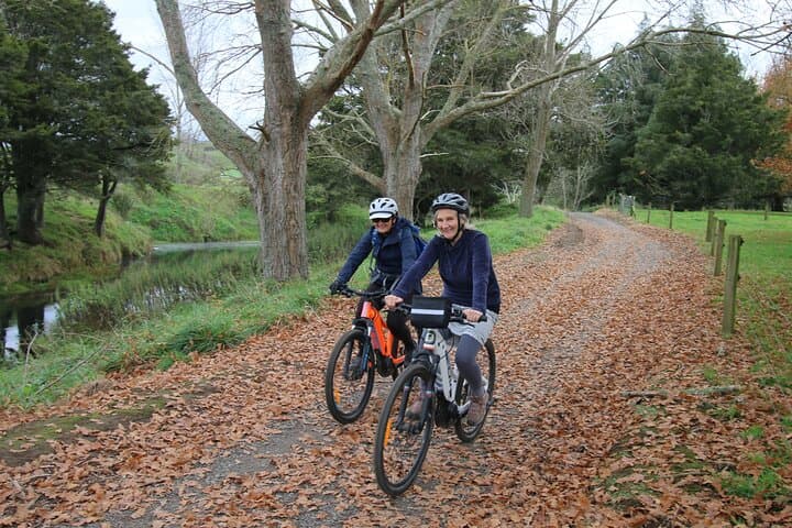 Full-Day eBike Tour in Karangahake Gorge from Auckland — Waikino to Waihi photo 2