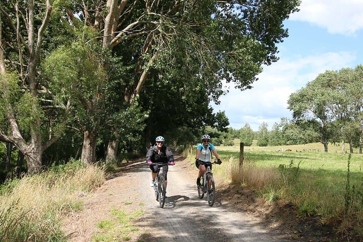 Full-Day eBike Tour in Karangahake Gorge from Auckland — Waikino to Waihi photo 3