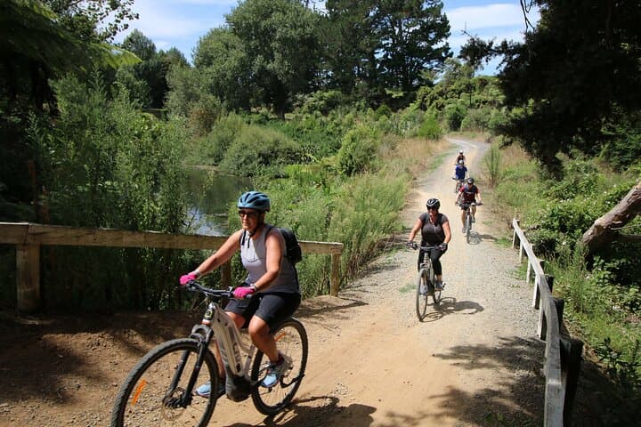 Full-Day eBike Tour in Karangahake Gorge from Auckland — Waikino to Waihi photo 5