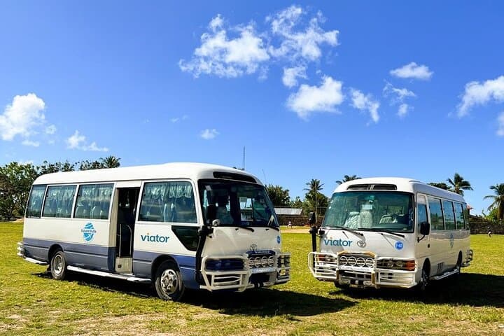 Punta Cana VIP Airport Transfers: Private Shuttle Between Punta Cana Airport and Bávaro photo 2