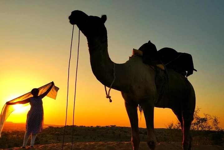 Overnight Camel Safari and Desert Camping in Osian, Jodhpur photo 4