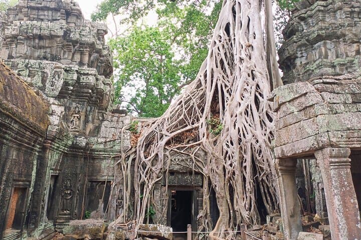Sunset Angkor Wat, Angkor Thom & Ta Prohm: Evening Group Tour from Siem Reap photo 2