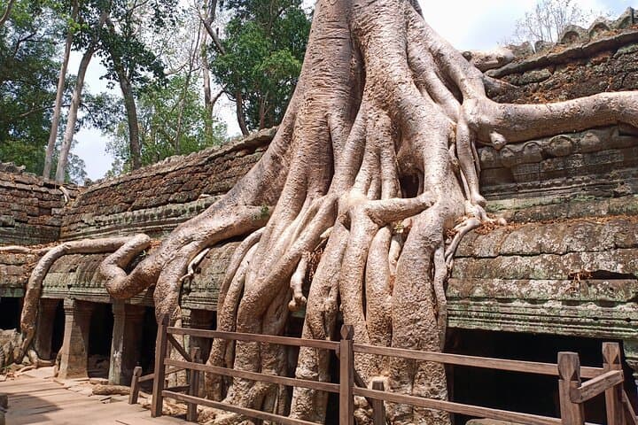 Three-Day Private Angkor Temple Tour — Angkor Wat, Ta Prohm & Tonle Sap photo 2