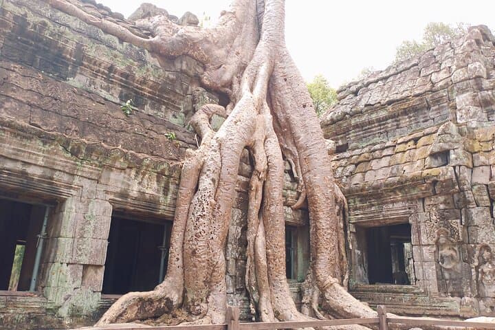 One-Day Angkor Temples Tour: Angkor Wat, Angkor Thom & Ta Prohm (Sunset) photo 6