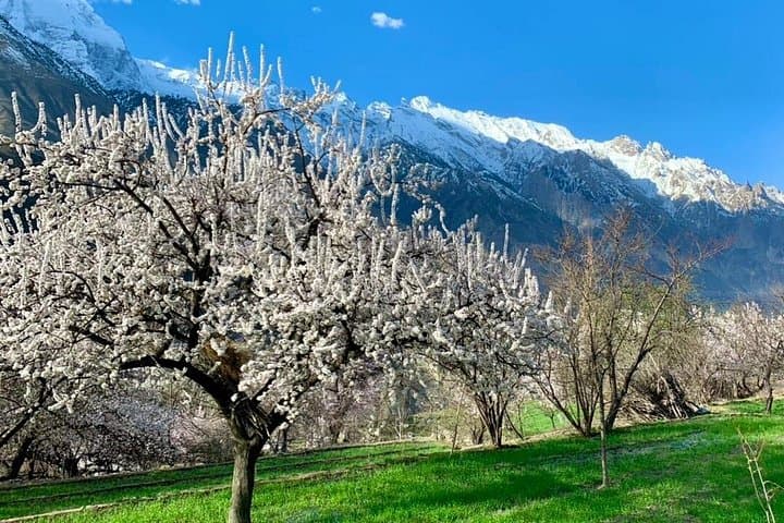Colors of Hunza Valley: 9-Day Autumn Mountain & Culture Tour