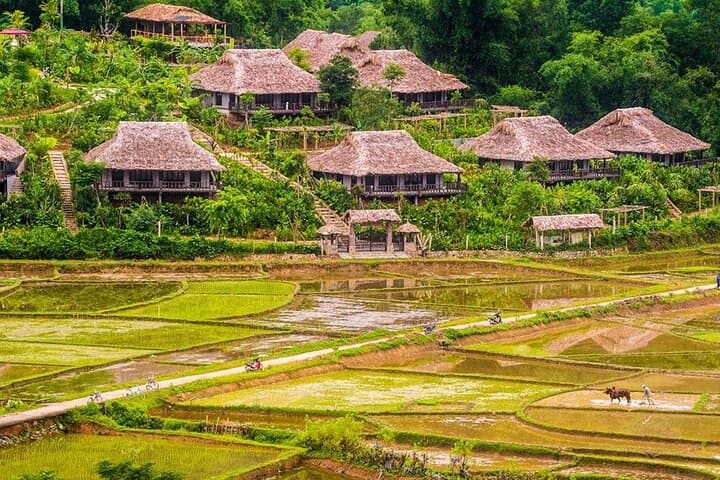 Mai Chau & Pu Luong 2-Day Adventure: Cycling, Trekking & Thai Village Homestay