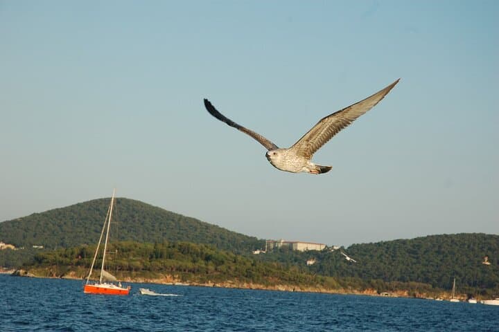 Princes Islands Cruise: Büyükada & Kınalıada Day Trip from Istanbul photo 6