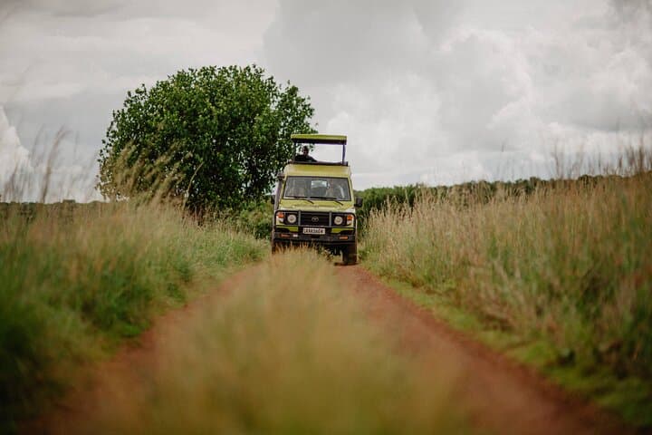 Full-Day Akagera Big Five Safari from Kigali — Lions, Elephants & Shoebill photo 5