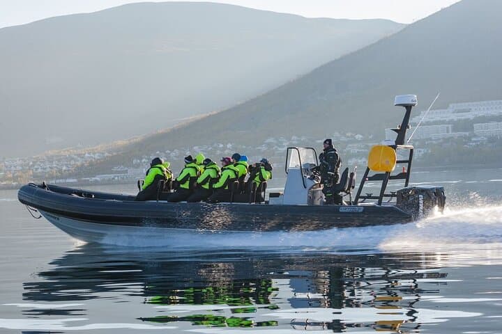 Tromsø to Skjervøy RIB Whale Watching: Full-Day Orca & Humpback Search