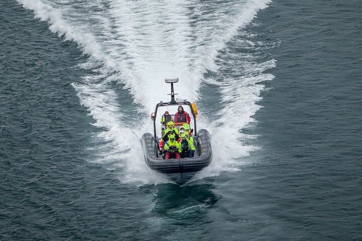 Tromsø to Skjervøy RIB Whale Watching: Full-Day Orca & Humpback Search photo 4