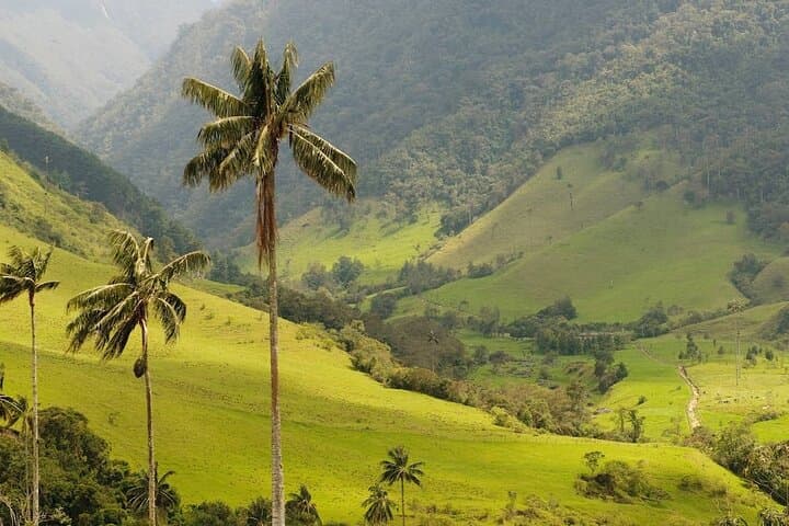 Anamuya Mountains Small-Group Walking Tour — Punta Cana Hiking, Wildlife & River Swim photo 1