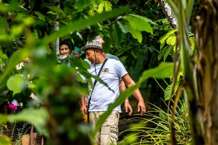 Anamuya Mountains Small-Group Walking Tour — Punta Cana Hiking, Wildlife & River Swim photo 2