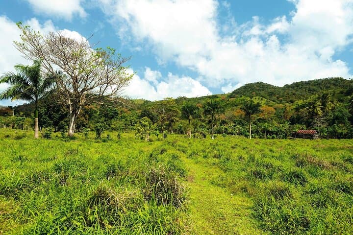 Anamuya Mountains Small-Group Walking Tour — Punta Cana Hiking, Wildlife & River Swim photo 3