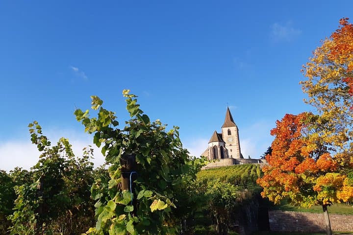Half-Day Alsace Wine Route Tour: Hunawihr & Riquewihr Tasting from Colmar photo 1