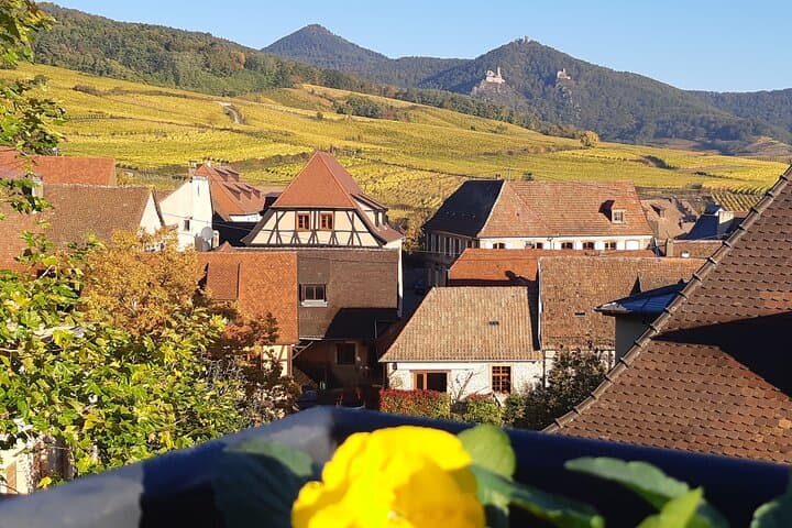 Half-Day Alsace Wine Route Tour: Hunawihr & Riquewihr Tasting from Colmar photo 2