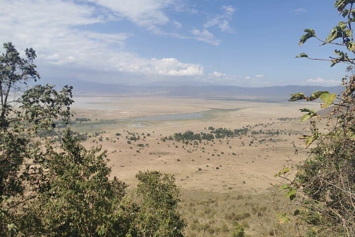 Kilimanjaro Northern Circuit: 10-Day Remote Trek to Uhuru Peak