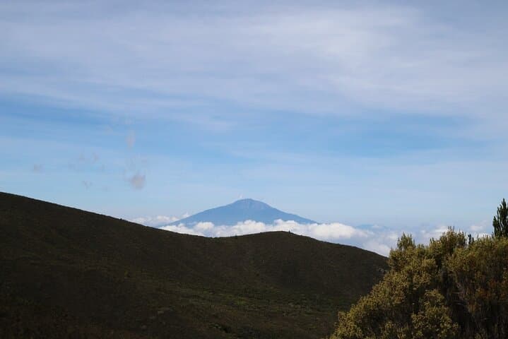 Kilimanjaro Northern Circuit: 10-Day Remote Trek to Uhuru Peak photo 4