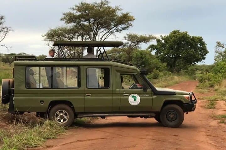 Full-Day Akagera National Park Private Safari from Kigali — Big Five, Lakes & Wildlife photo 2