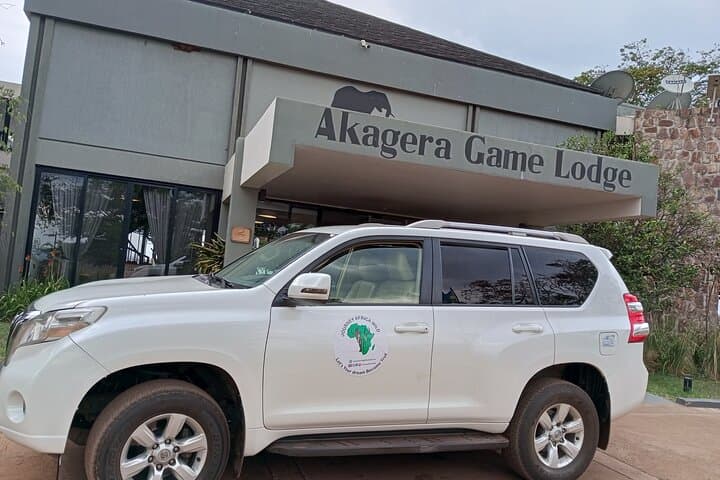 Full-Day Akagera National Park Private Safari from Kigali — Big Five, Lakes & Wildlife photo 3