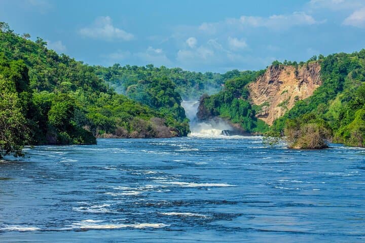 13-Day Uganda Wildlife & Gorilla Trekking Safari — Murchison to Bwindi photo 2