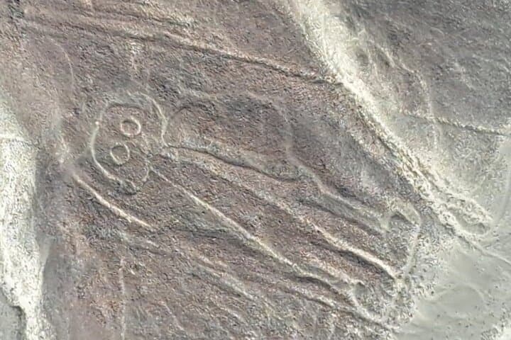 Full-Day Huacachina & Nazca Lines Overflight from Lima photo 6