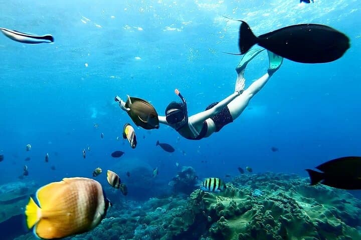 Snorkel Nusa Penida & Uluwatu Sunset: Mantas, Coral Gardens and Kecak Drama photo 3