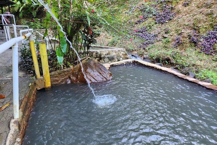 Shoreside Fun-Day: Ti-Tou Gorge, Champagne Reef & Tia Hot Springs in Dominica photo 3