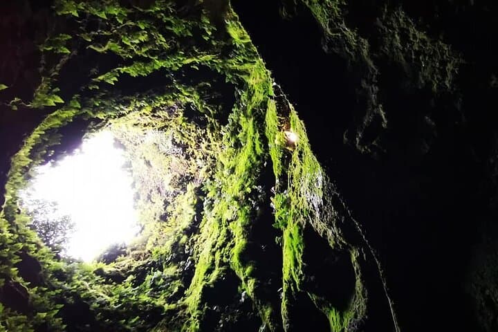 Terceira Volcano Tour: Explore Algar do Carvão & Lava Tunnels