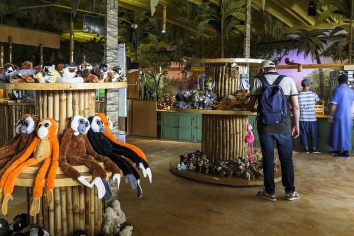Inside Agadir’s Crocoparc: Up-Close Nile Crocodiles & Jungle Gardens photo 2