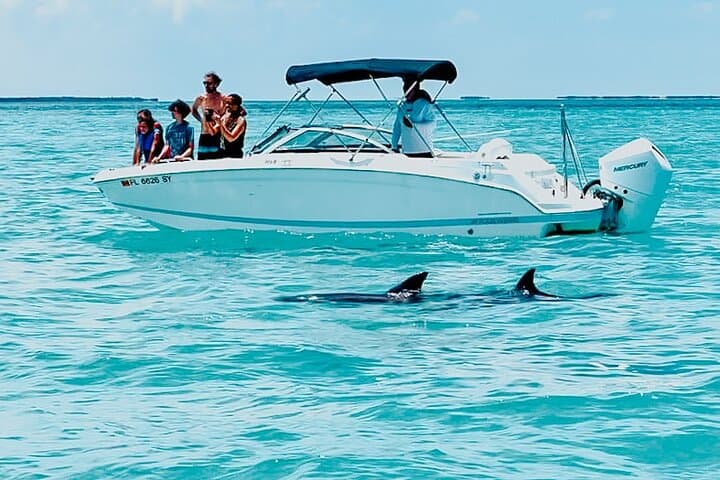 Key West Dolphin Watching & Snorkeling Tour from The Perry Hotel photo 2