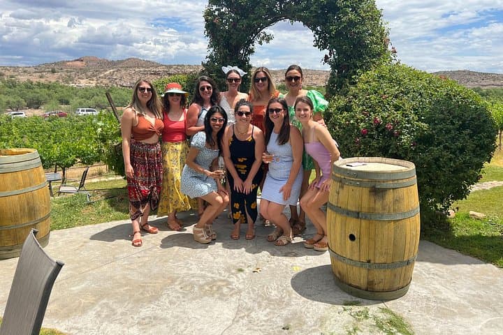 Verde Valley Wine Tour from Scottsdale: 4 Wineries & Charcuterie Picnic photo 2