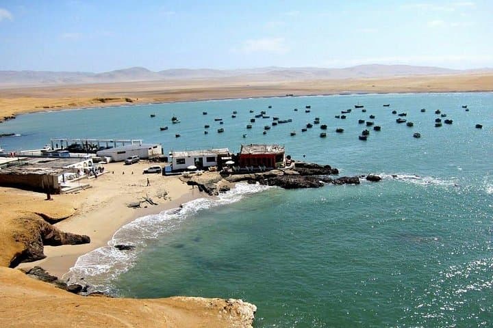 Ballestas Islands and Paracas Reserve Day Tour from Huacachina photo 4