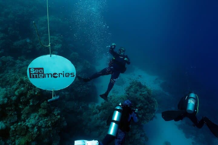 Introductory Red Sea Diving in Hurghada — 2-Stop Beginner Boat Dive with Lunch photo 2