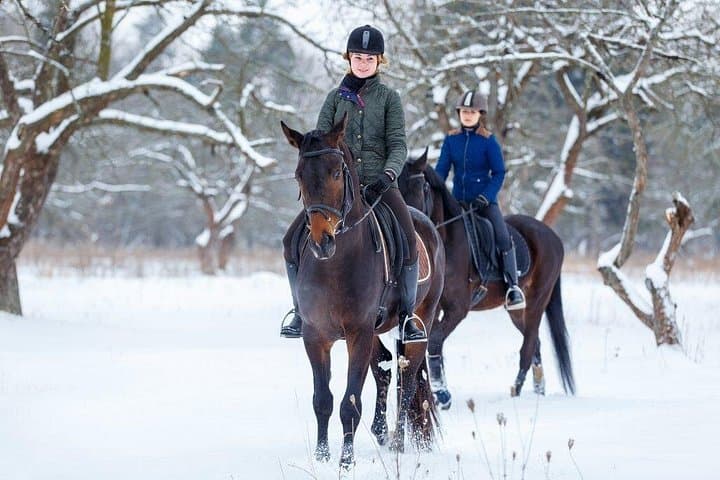 Rila Mountains Day Adventure: GPS-Guided Horseback Riding, Ice Fishing & Alpine Coaster from Sofia