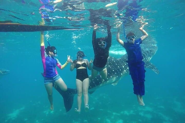 Swim with Whale Sharks, Explore Sumilon Sandbar & Kawasan Falls in Cebu photo 2