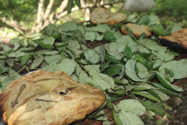 Private Chichen Itza & Yaxunah Ruins Day Trip with Sacred Cenote Swim photo 5