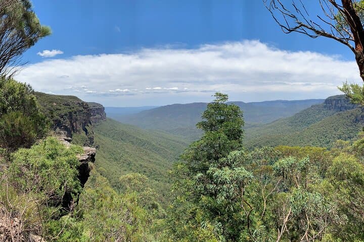 Luxury Blue Mountains Small-Group Day Tour from Sydney — Three Sisters, Wentworth Falls & Featherdale photo 6