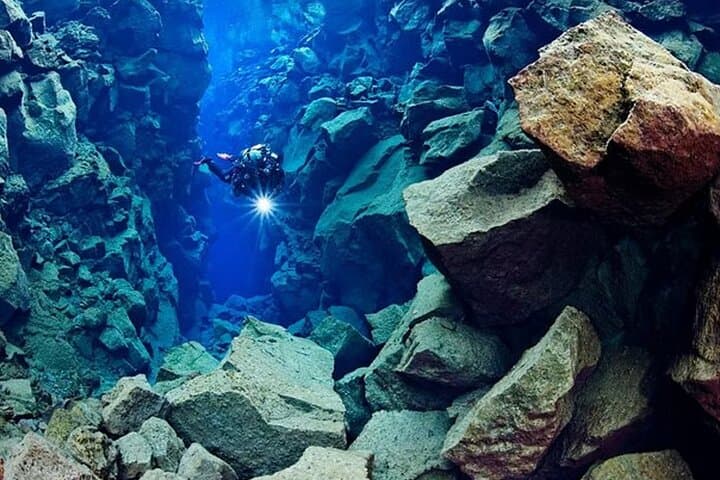 Snorkel Silfra and Whale Watch from Reykjavik: Self-Drive Day Trip photo 5
