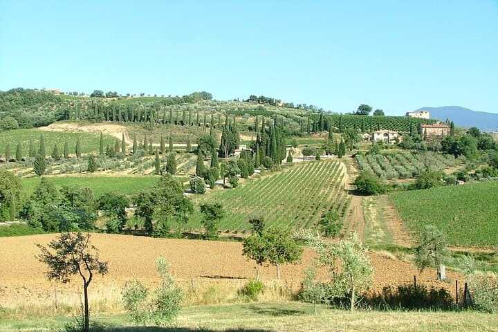 Full-Day Touring Bike Rental in Tuscany — Ride the Countryside from Florence photo 4